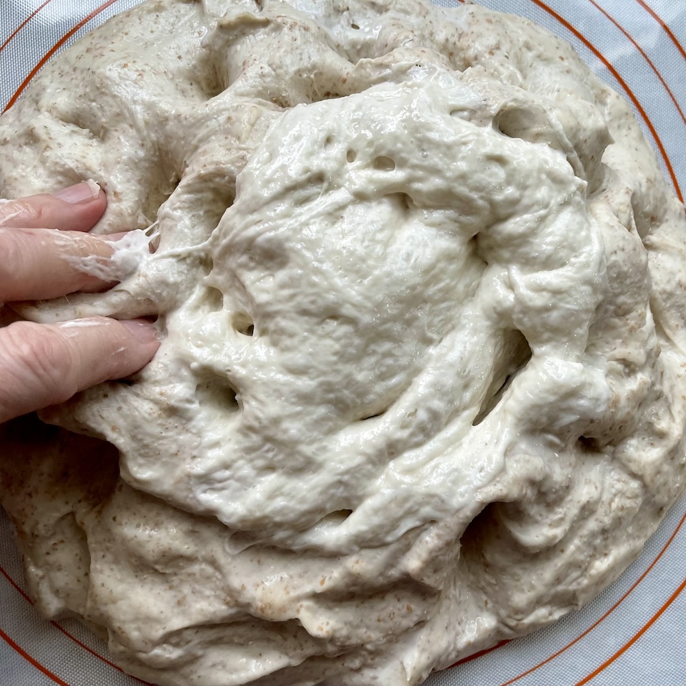 adding starter saltoyse