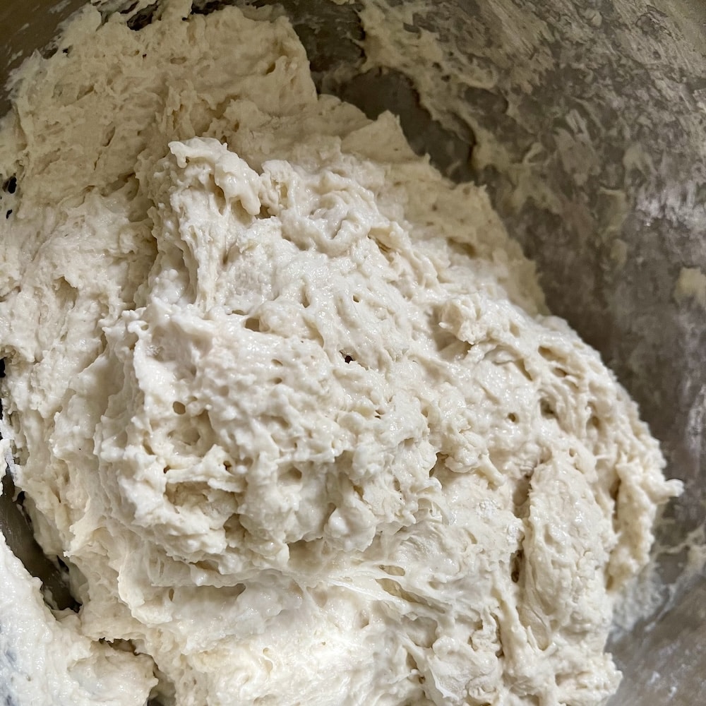 autolyse- partial dough of flour and water is resting in pan to hydrate