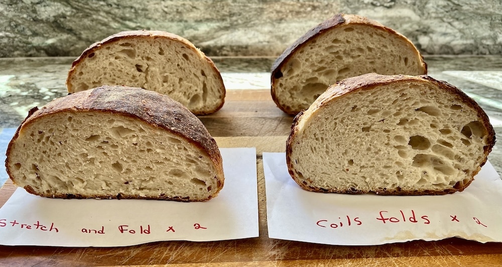 Stretch and fold vs. Coil Folds comparison
